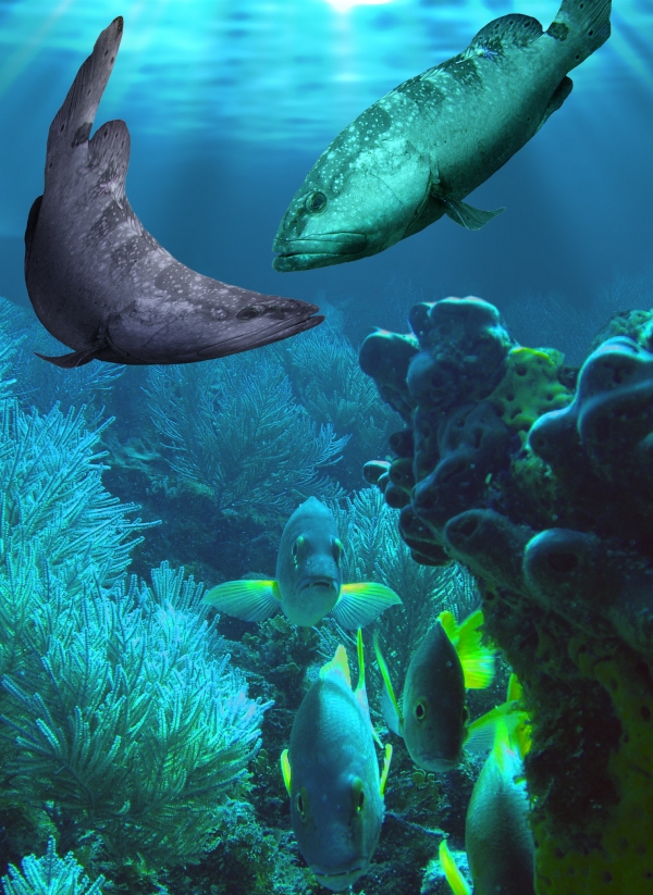 Creation of Bathysphere: Step 4